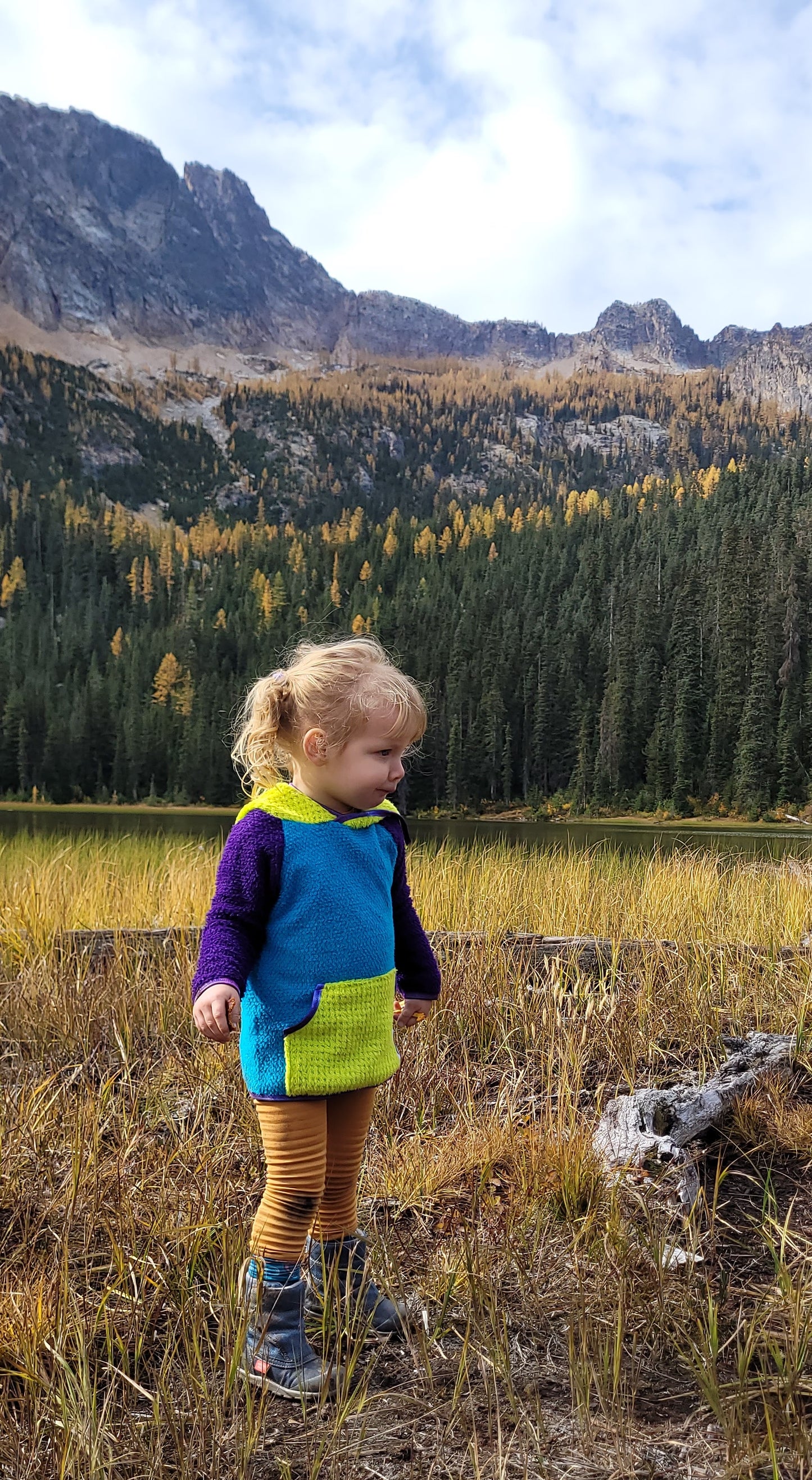 Custom Alpha Direct Hoodie